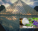 French homeopathic organisations come together - HoméoFrance