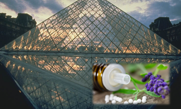 French homeopathic organisations come together - HoméoFrance