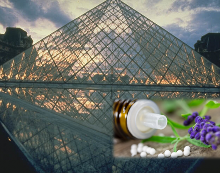 French homeopathic organisations come together - HoméoFrance